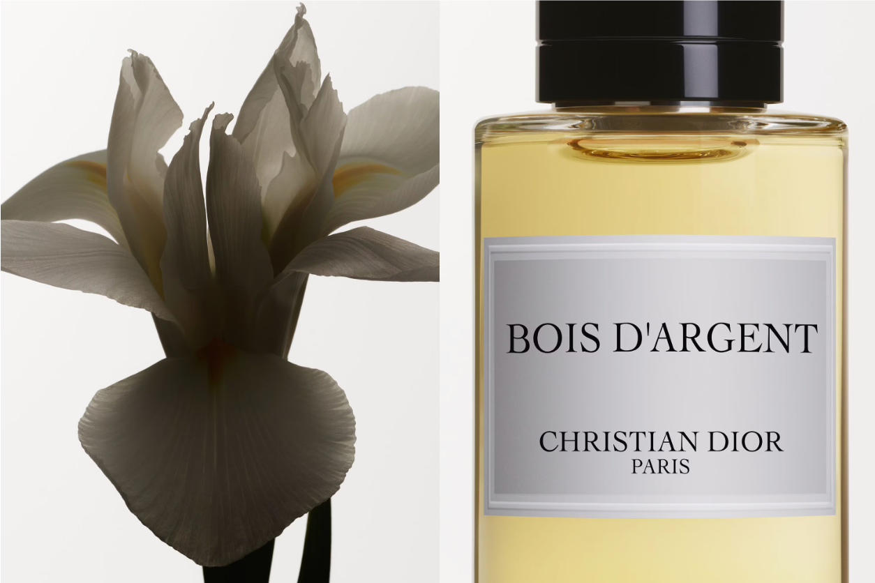 "Bois d'Argent" une pièce maîtresse de la collection privée de Dior